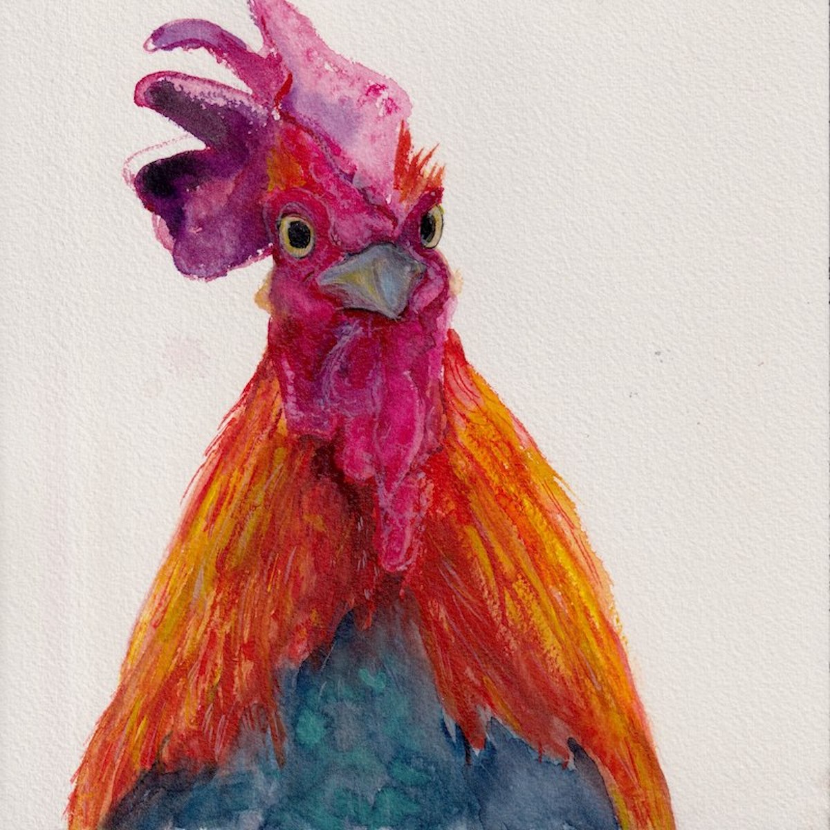 Chicken 1