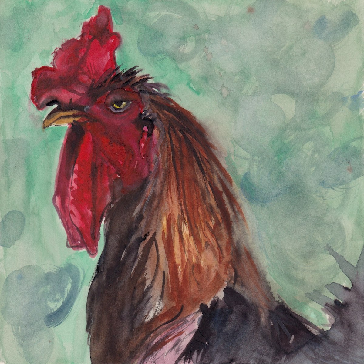 Chicken 1