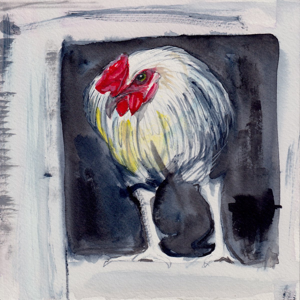 Chicken 1