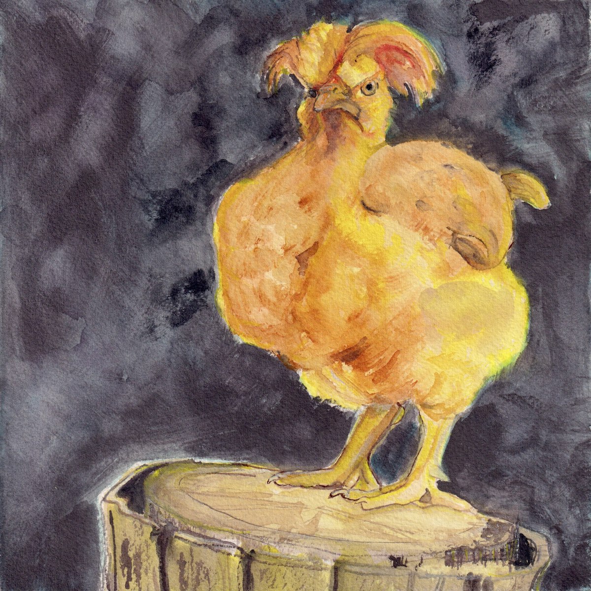 Chicken 2