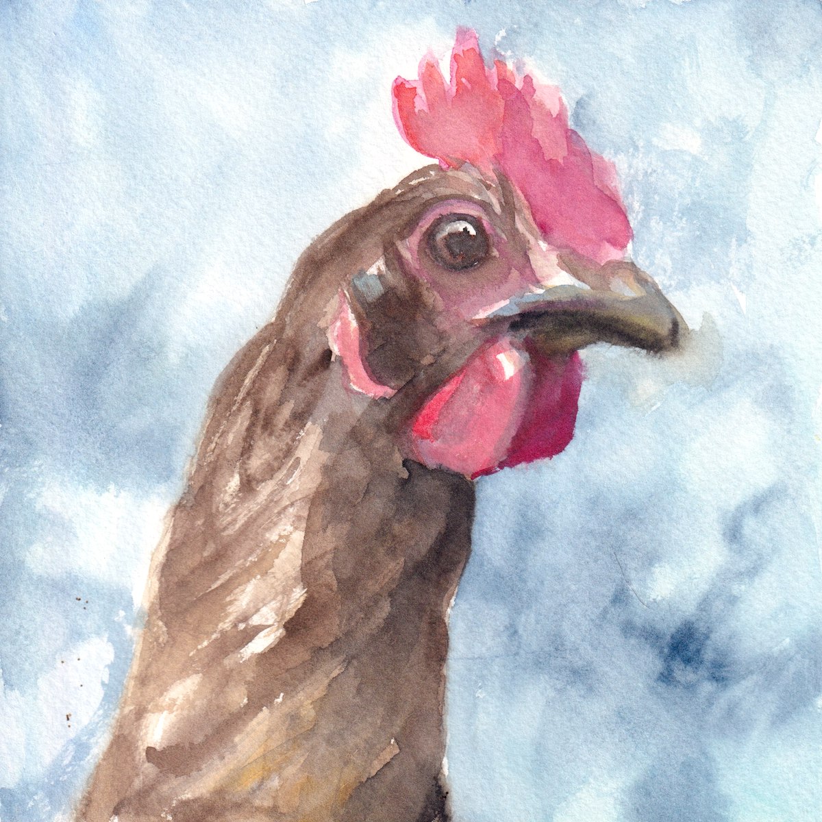Chicken 1