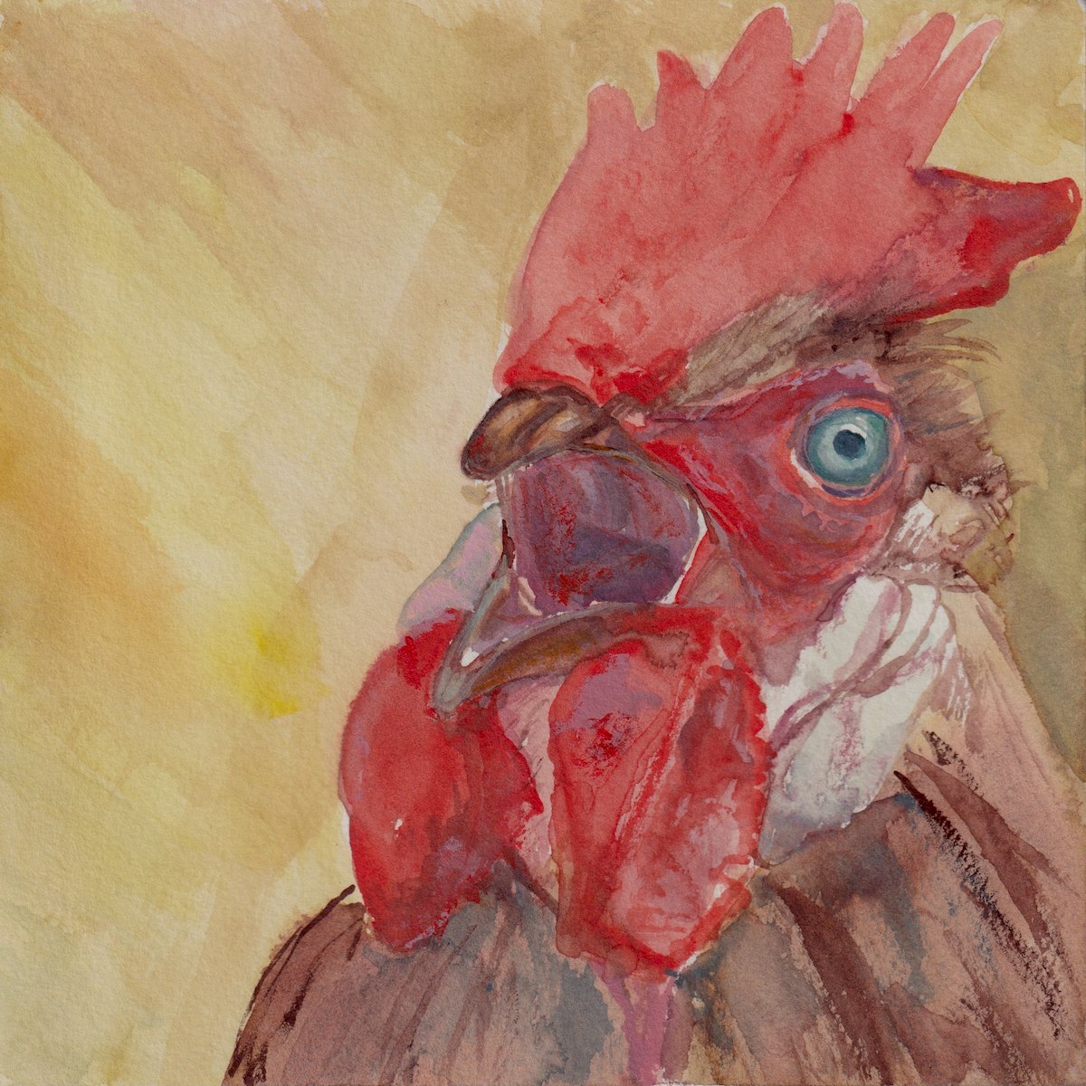 Chicken 2