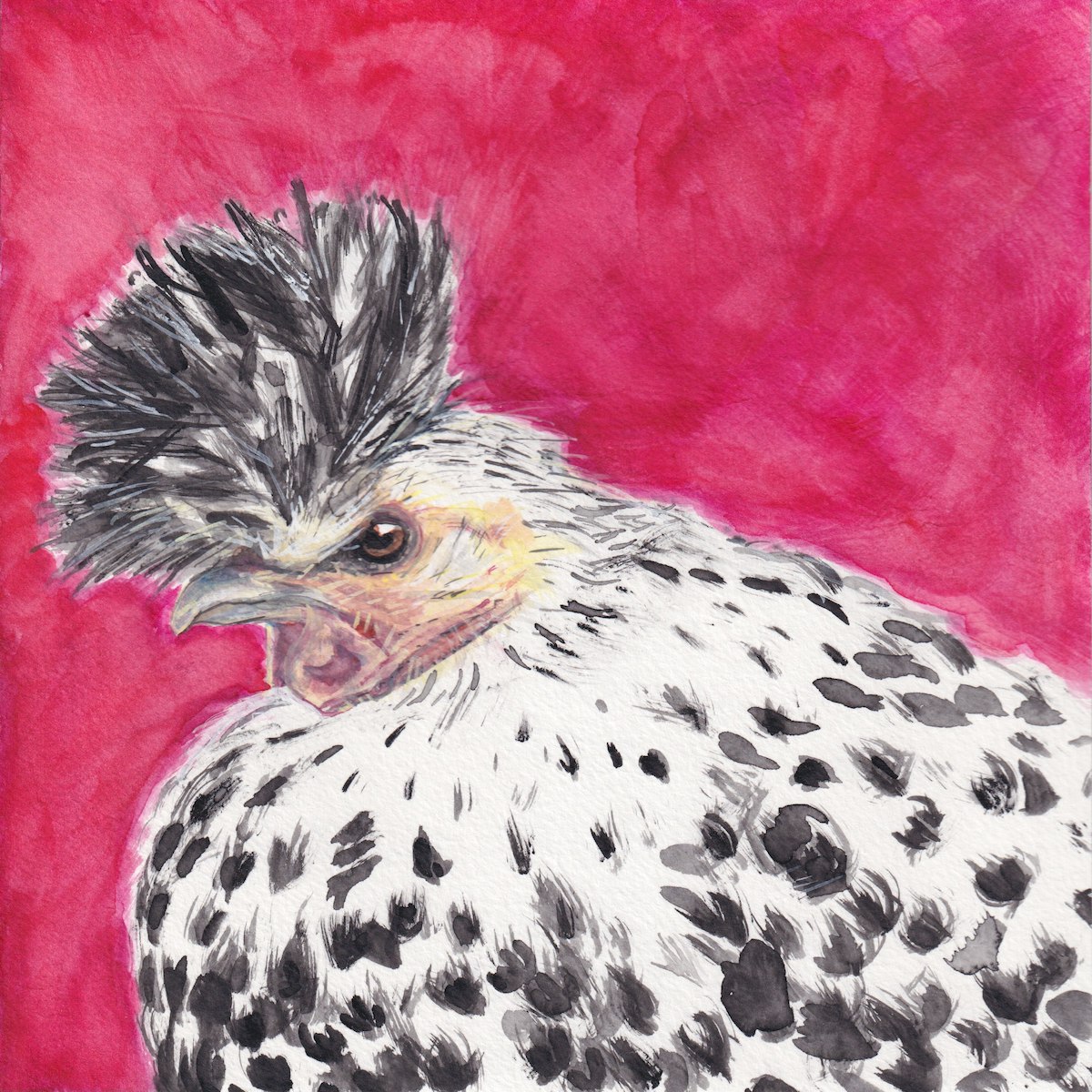 Chicken 1