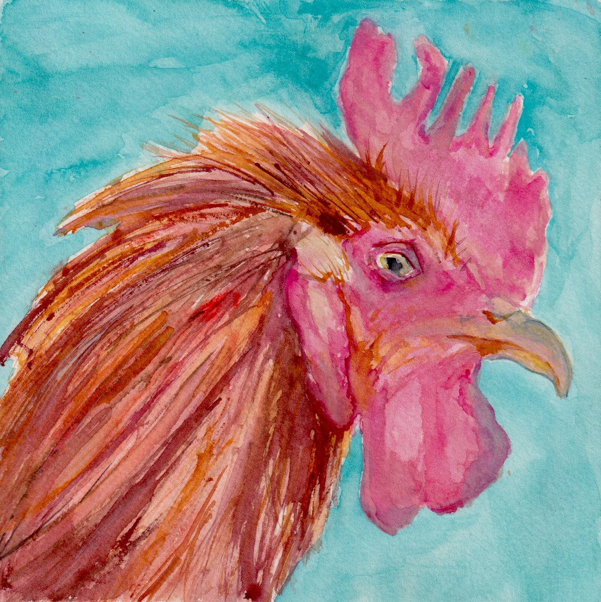 Chicken 1