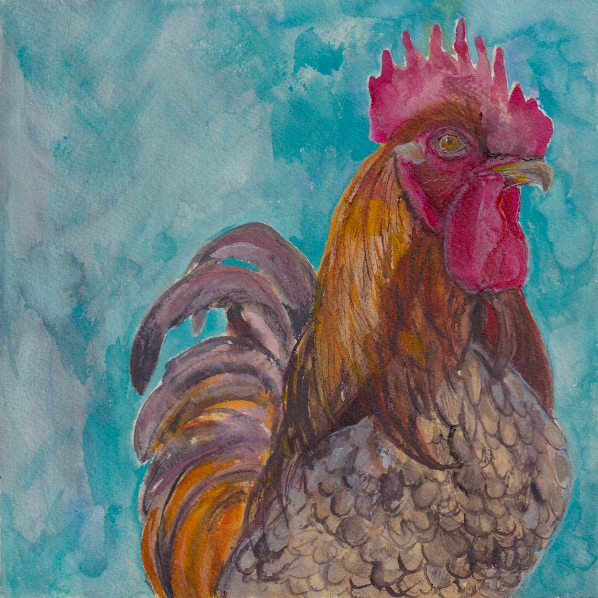 Chicken 1
