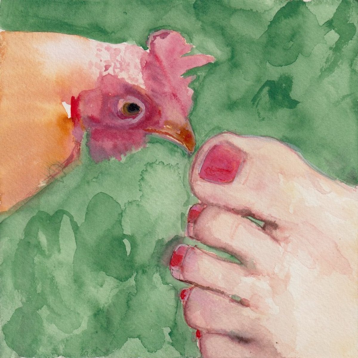 Chicken 1
