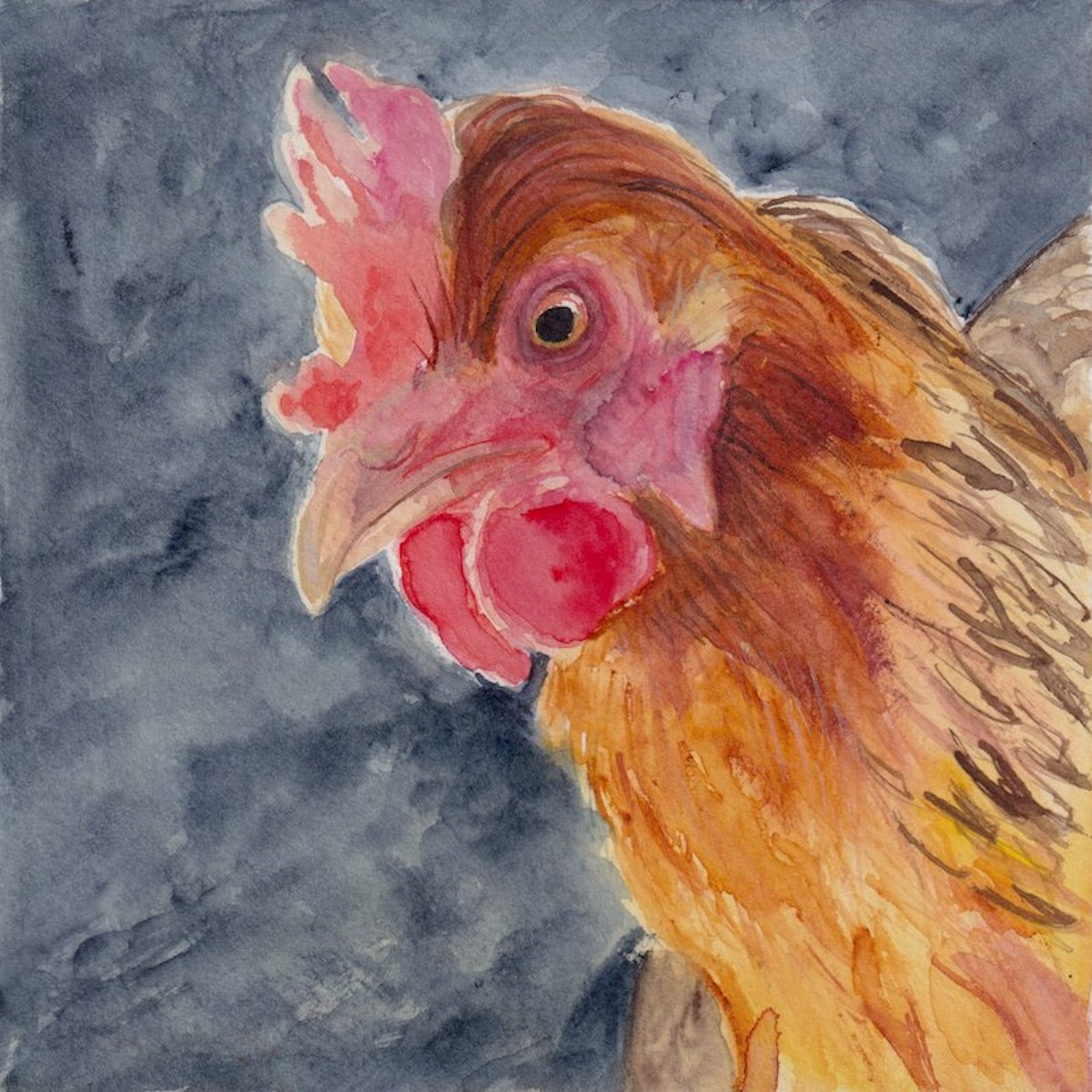 Chicken 2