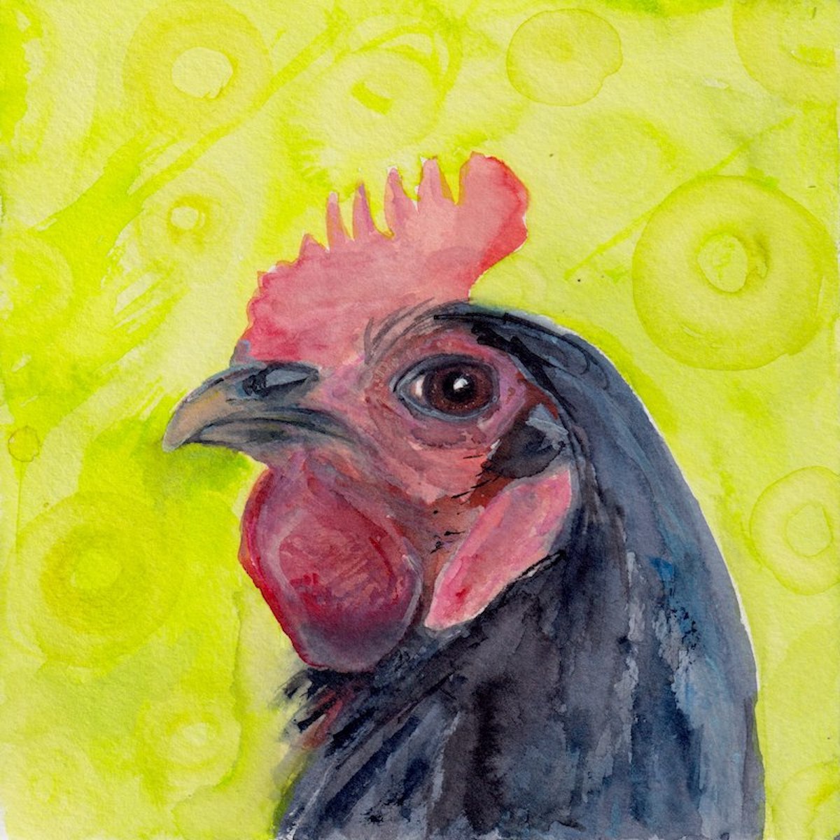 Chicken 1