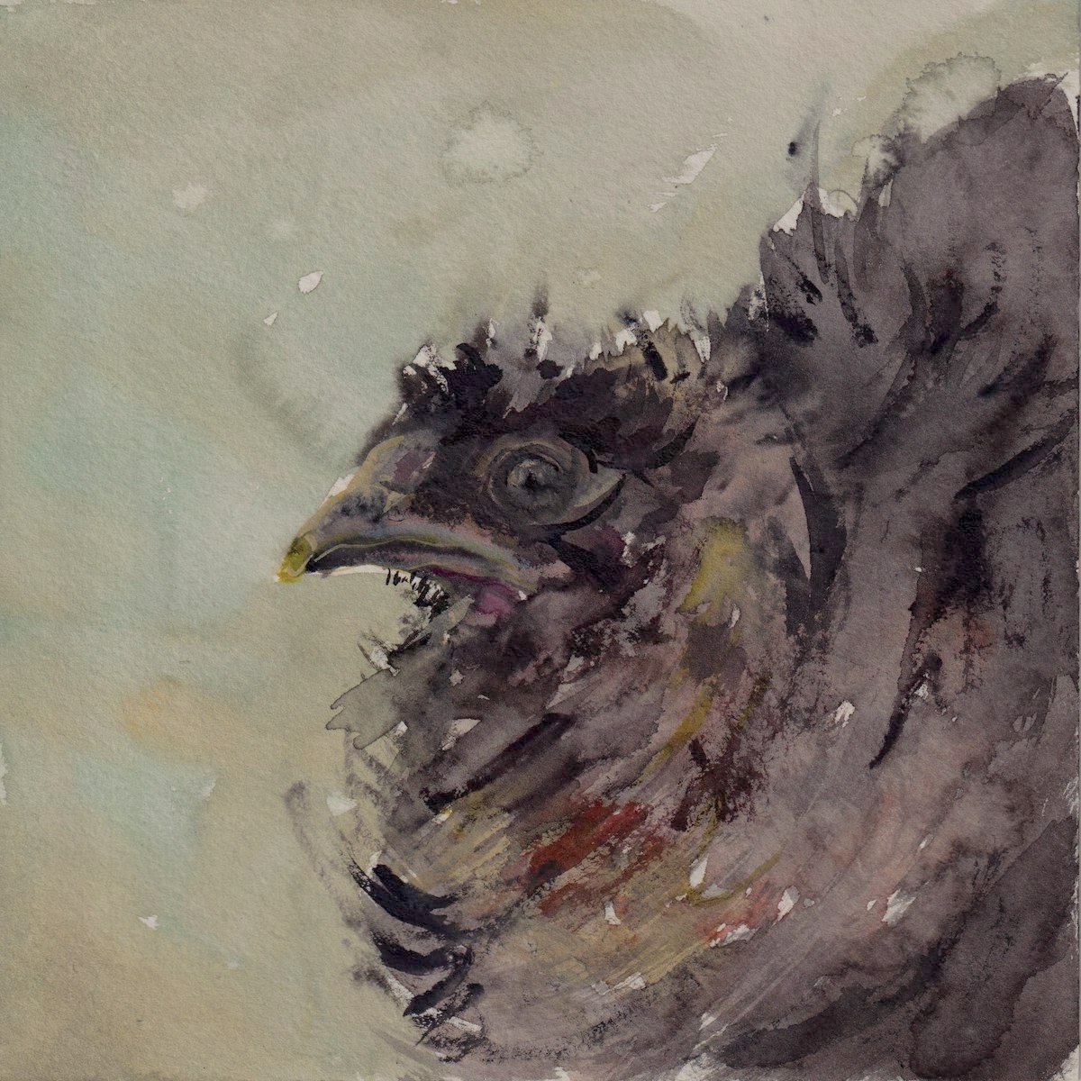 Chicken 2