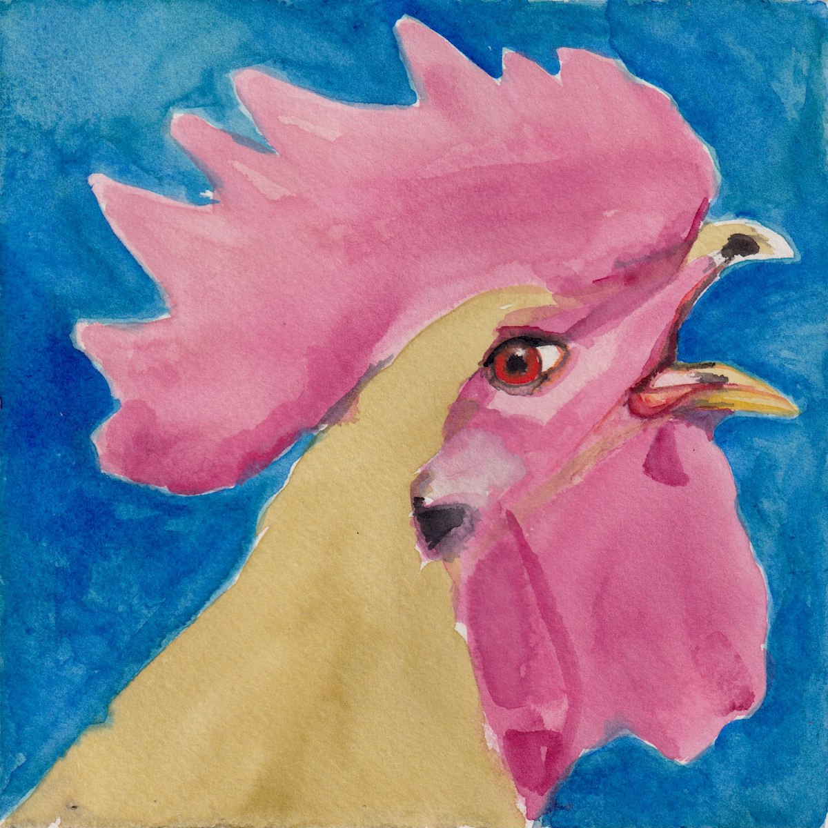 Chicken 1
