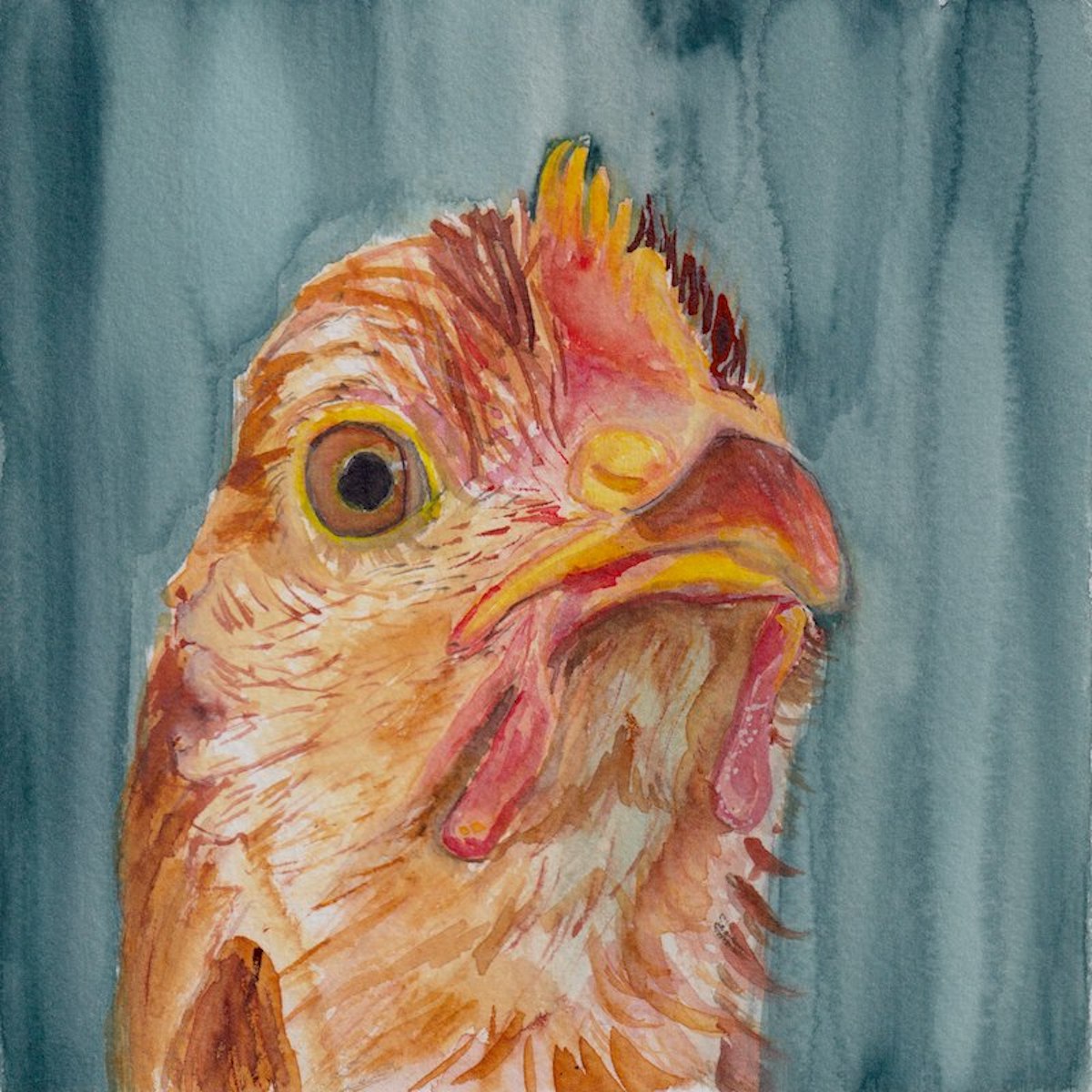 Chicken 1