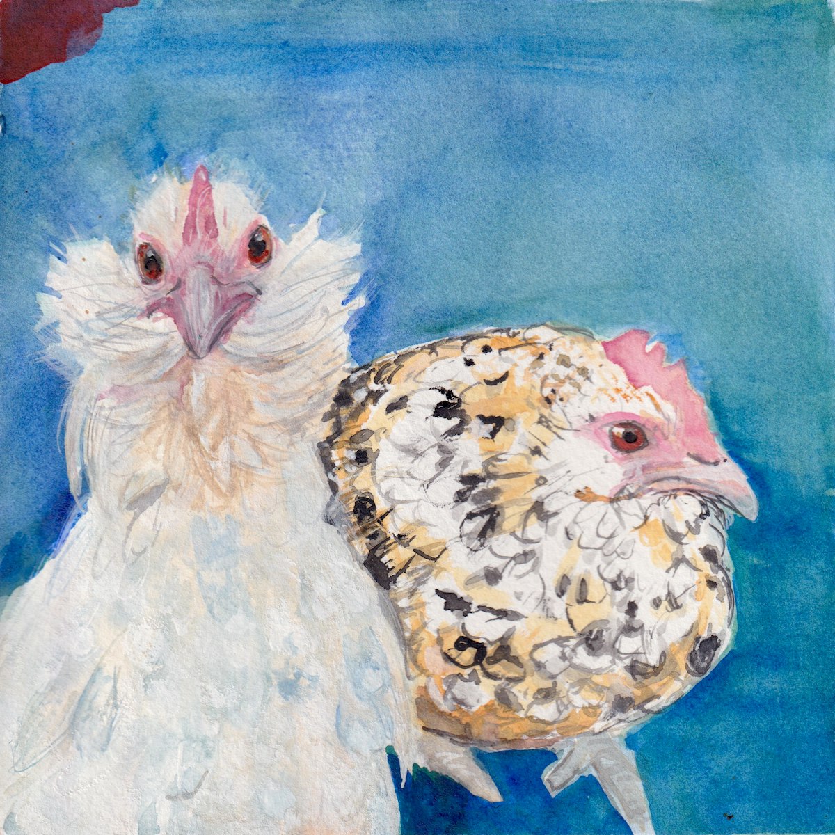 Chicken 2