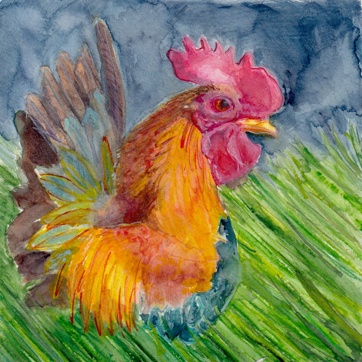 Chicken 2