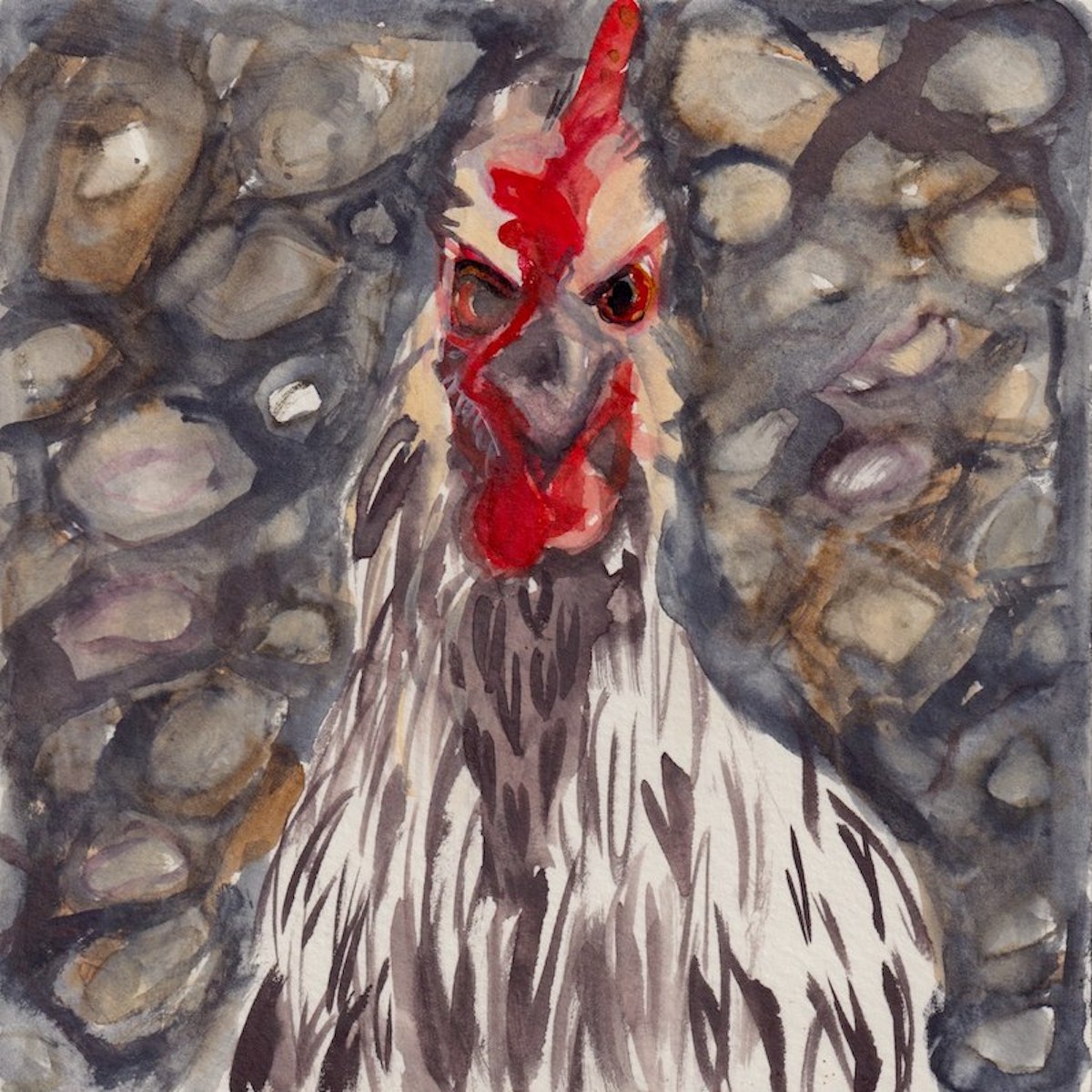 Chicken 1