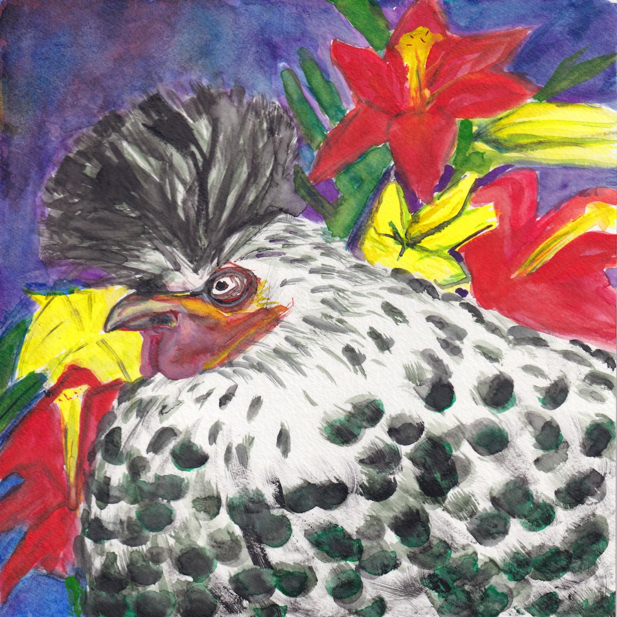 Chicken 2
