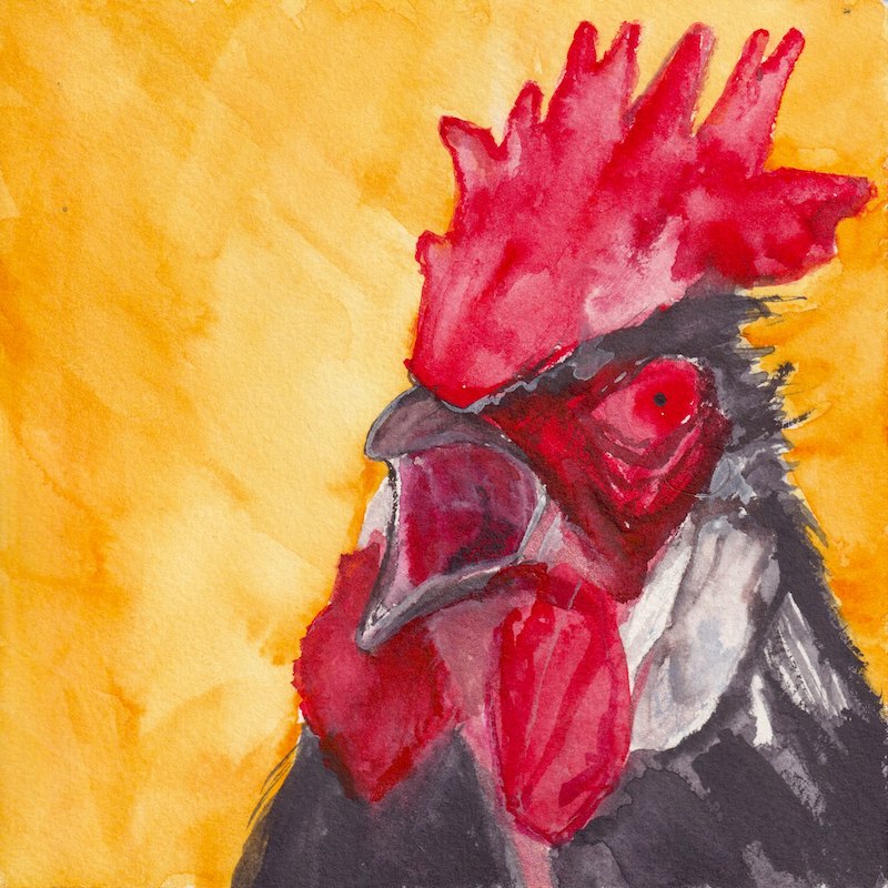 Chicken 1