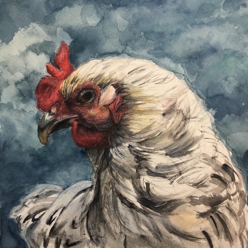 Chicken 2