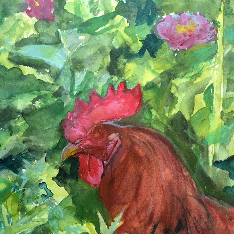 Chicken 1