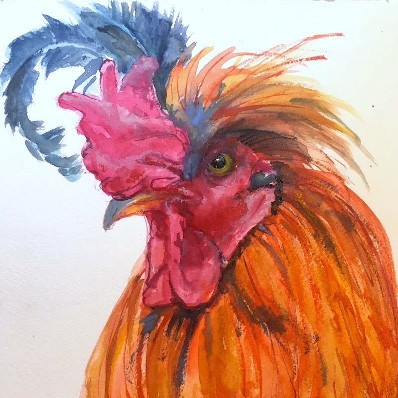 Chicken 1