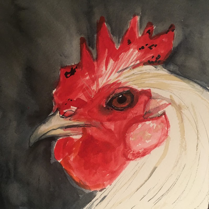 Chicken 1