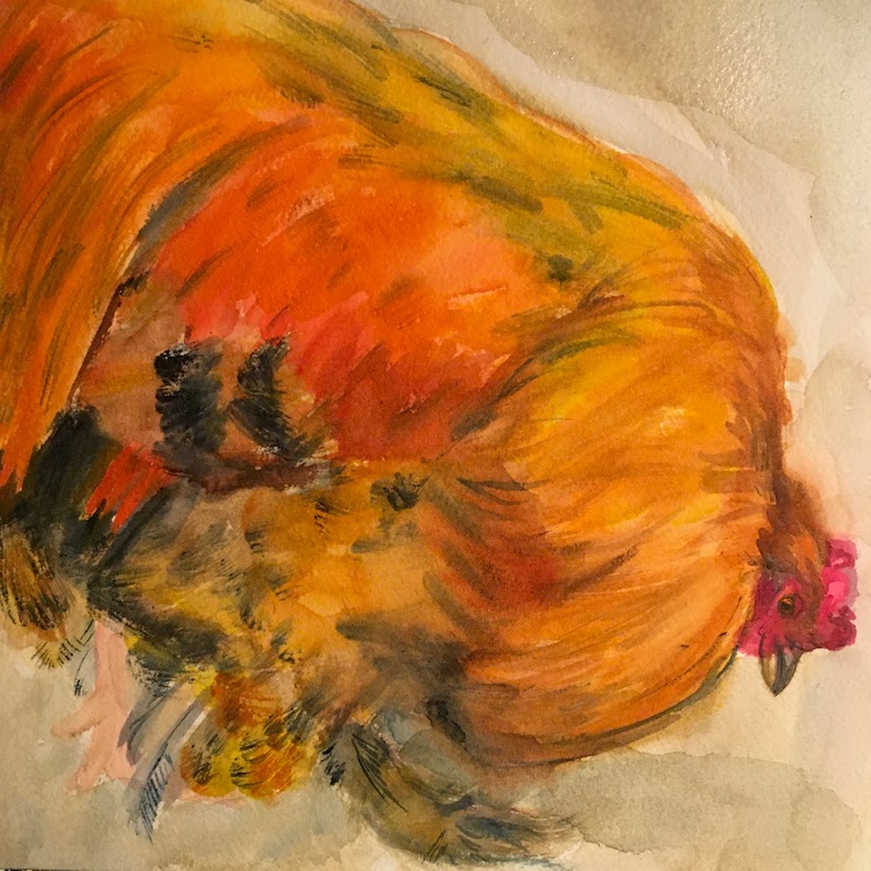 Chicken 2