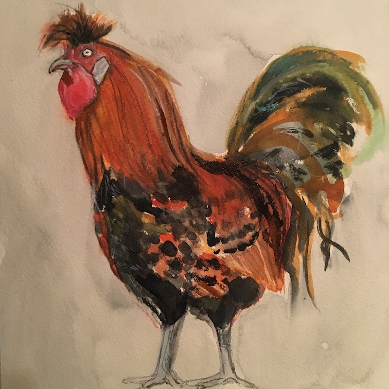 Chicken 1
