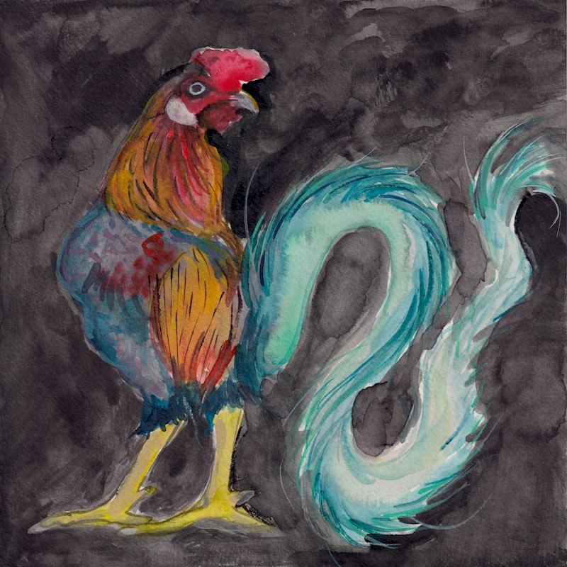 Chicken 1