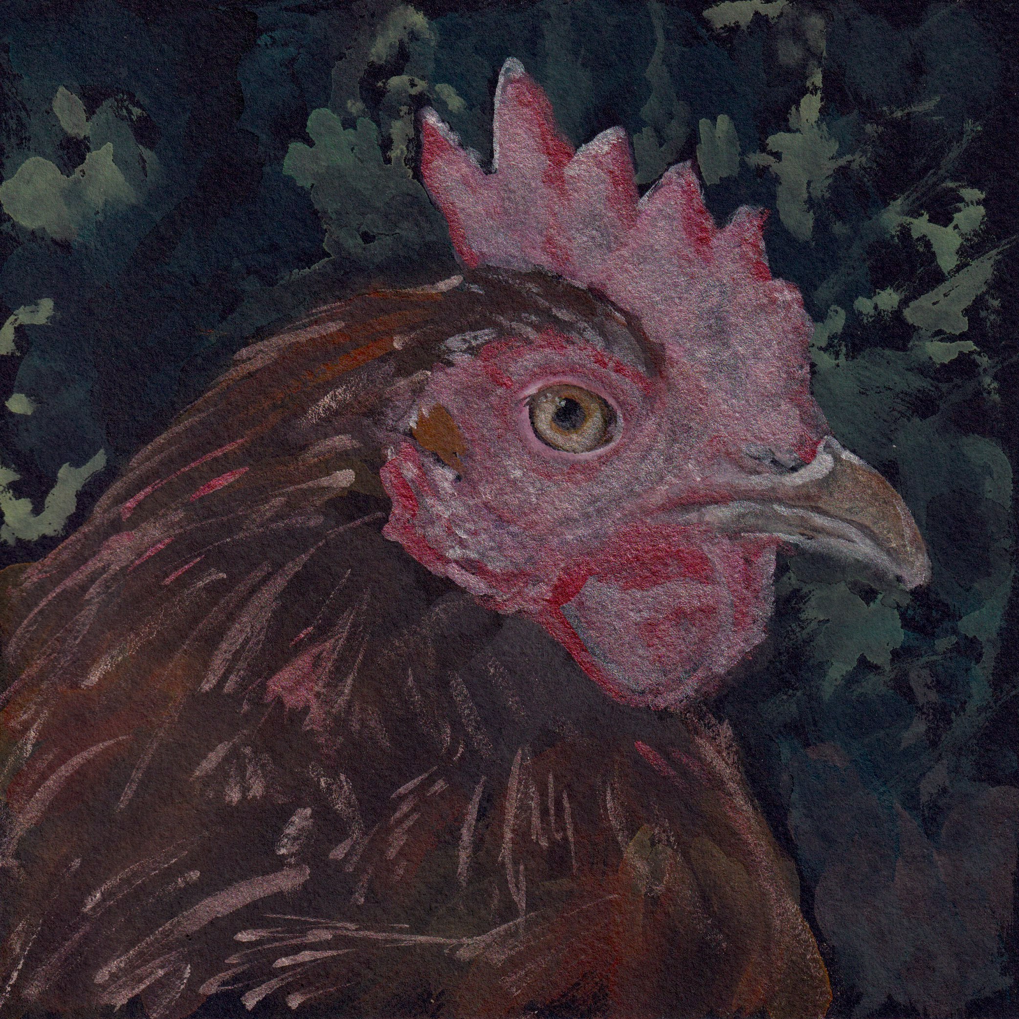 Chicken 2