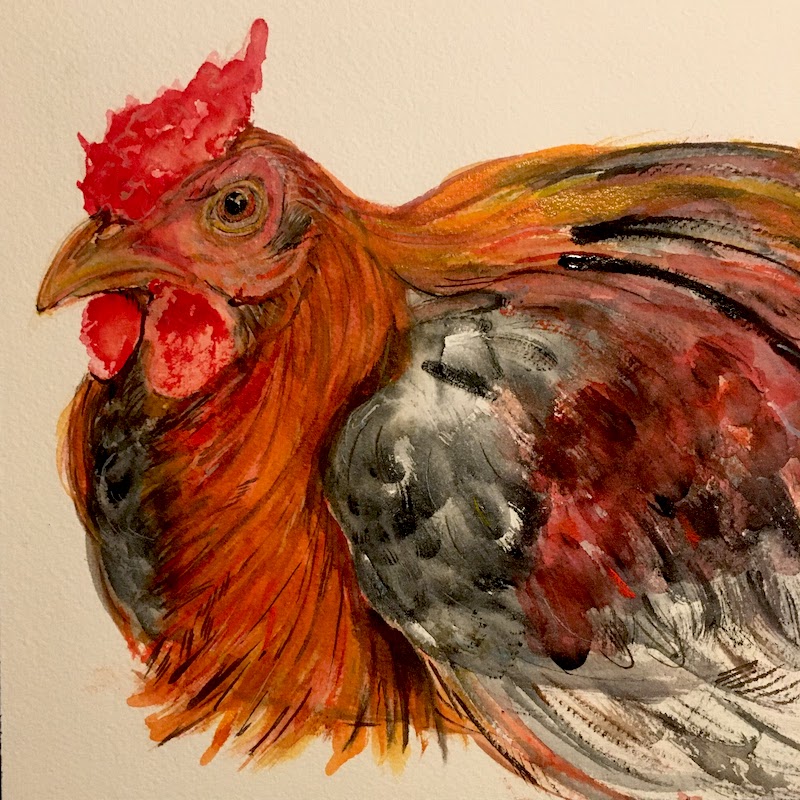Chicken 1