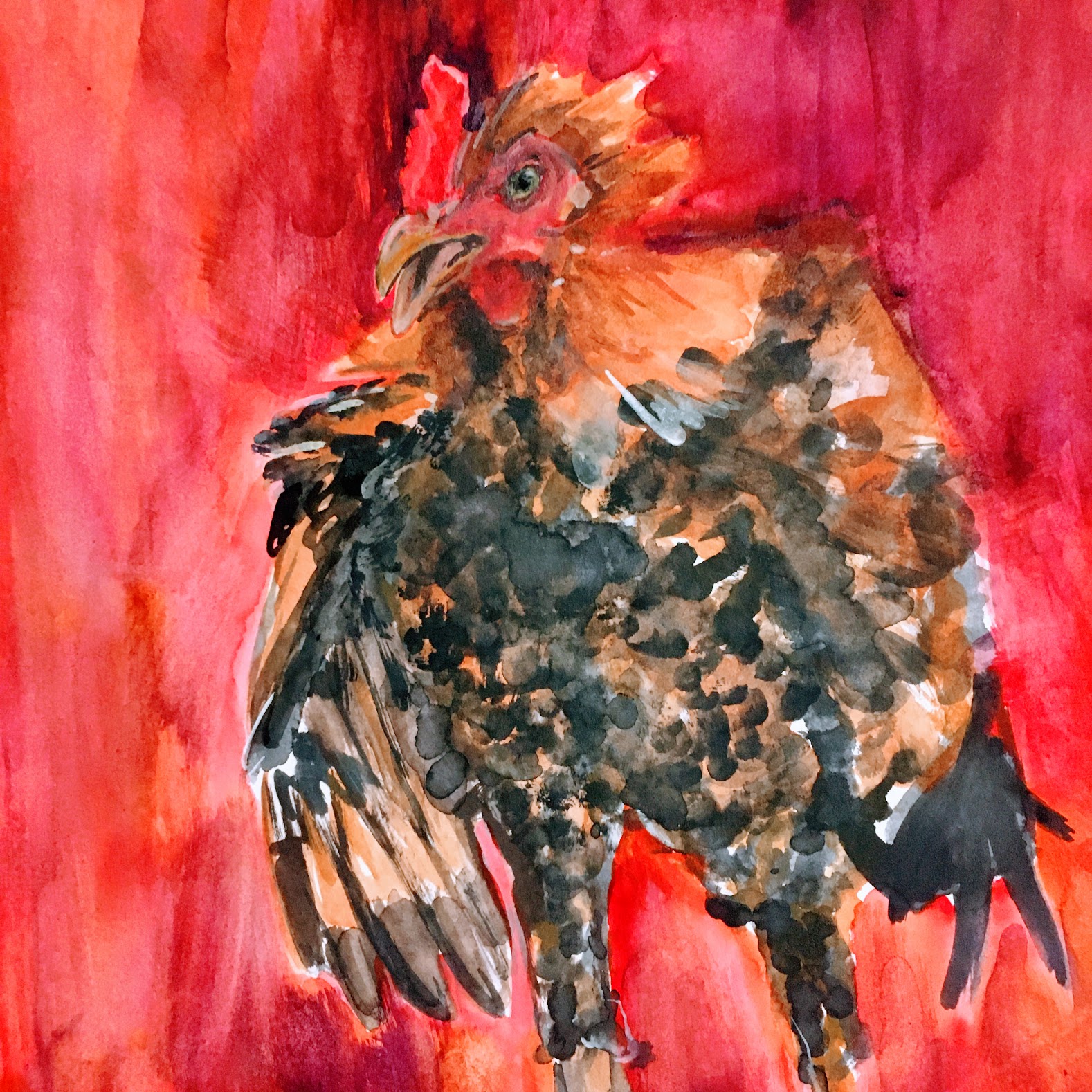 Chicken 2