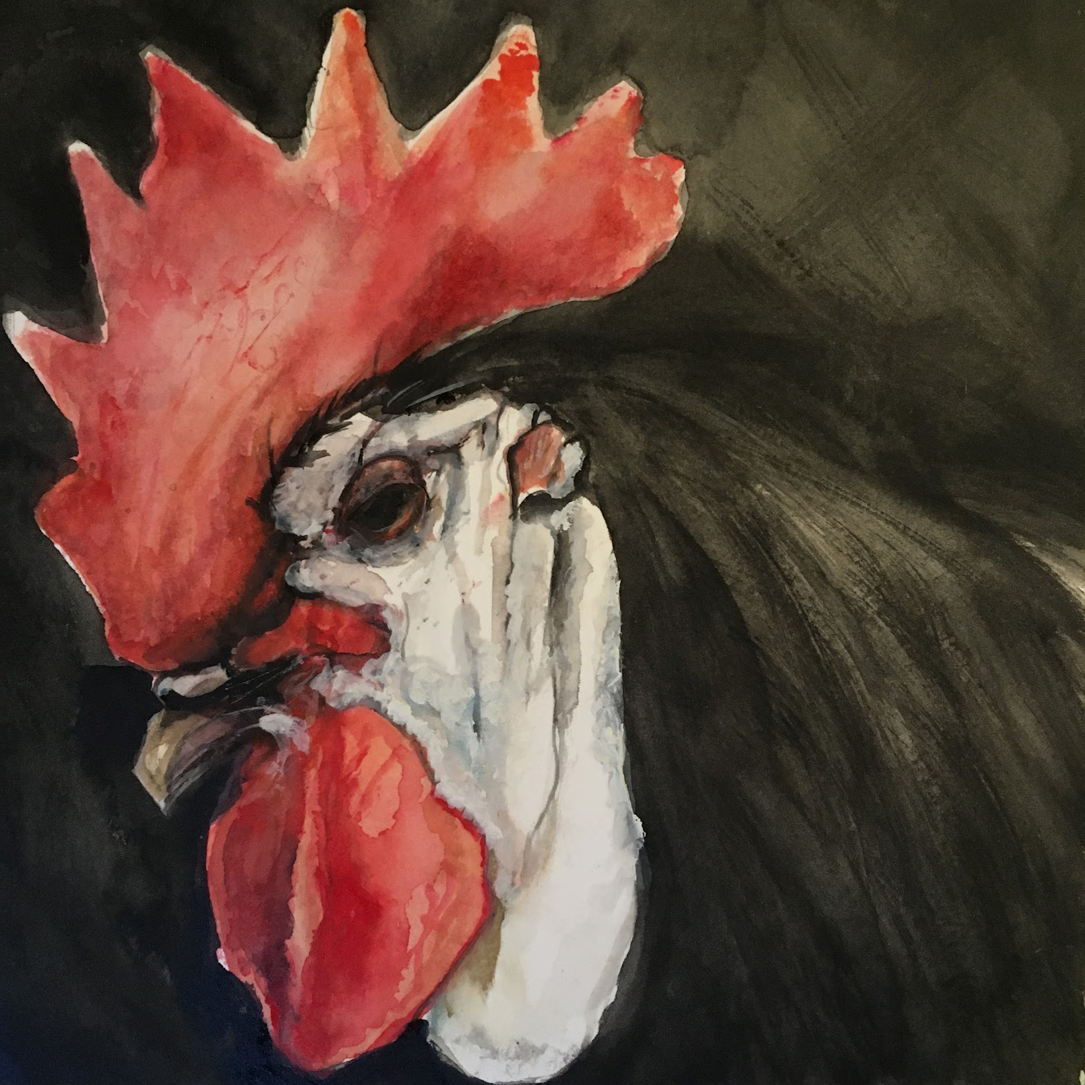 Chicken 1