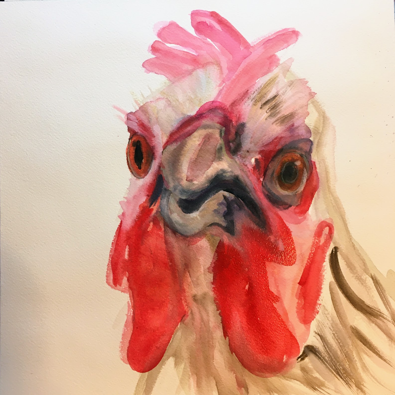 Chicken 2