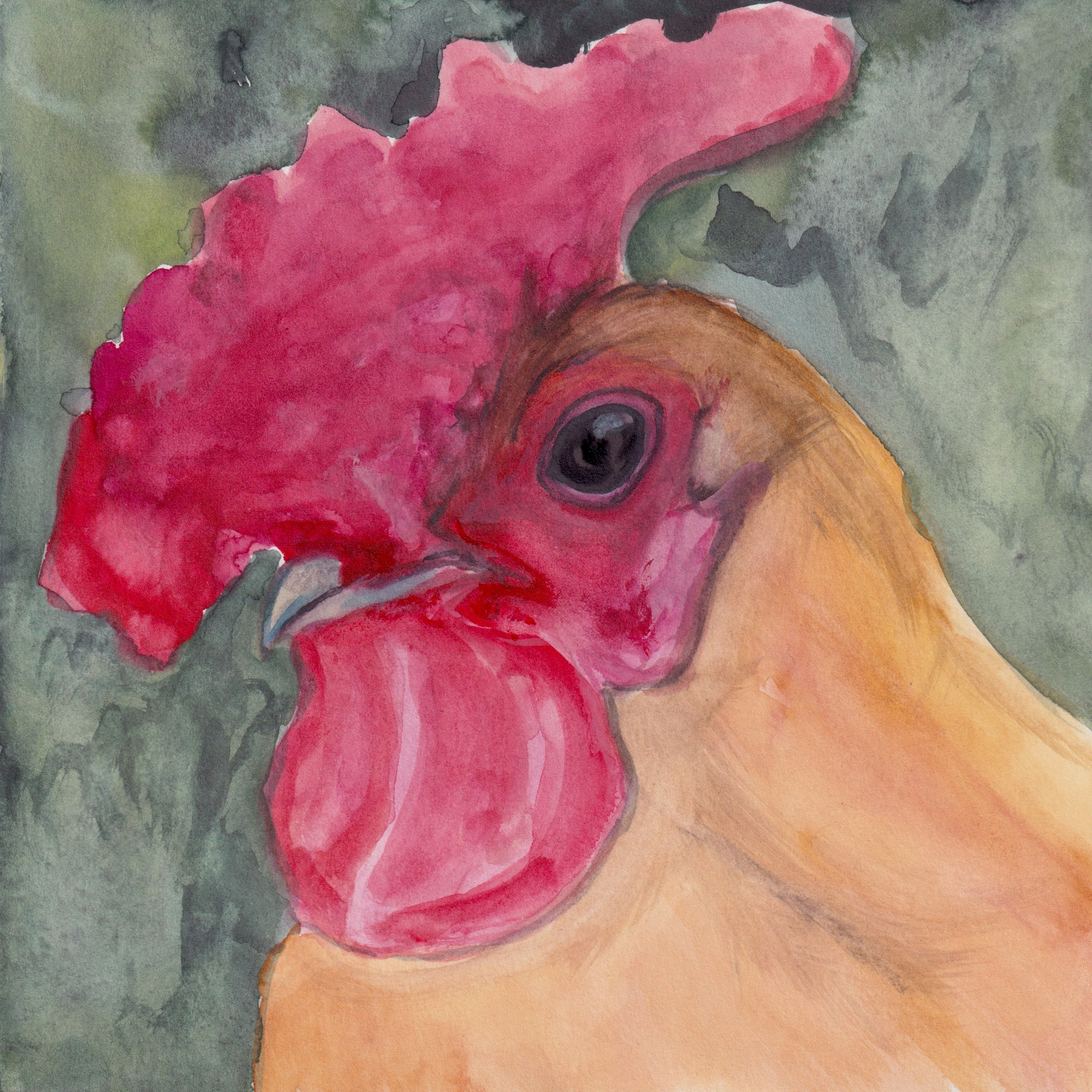 Chicken 1