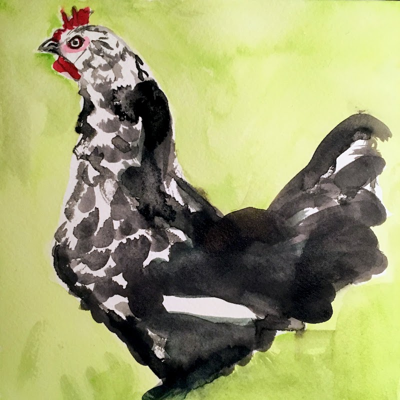 Chicken 2