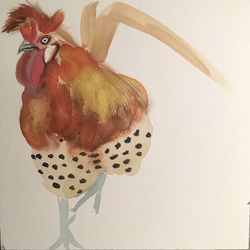 Chicken 1