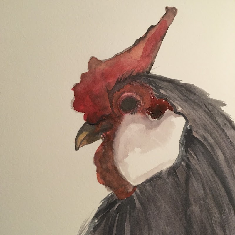 Chicken 2