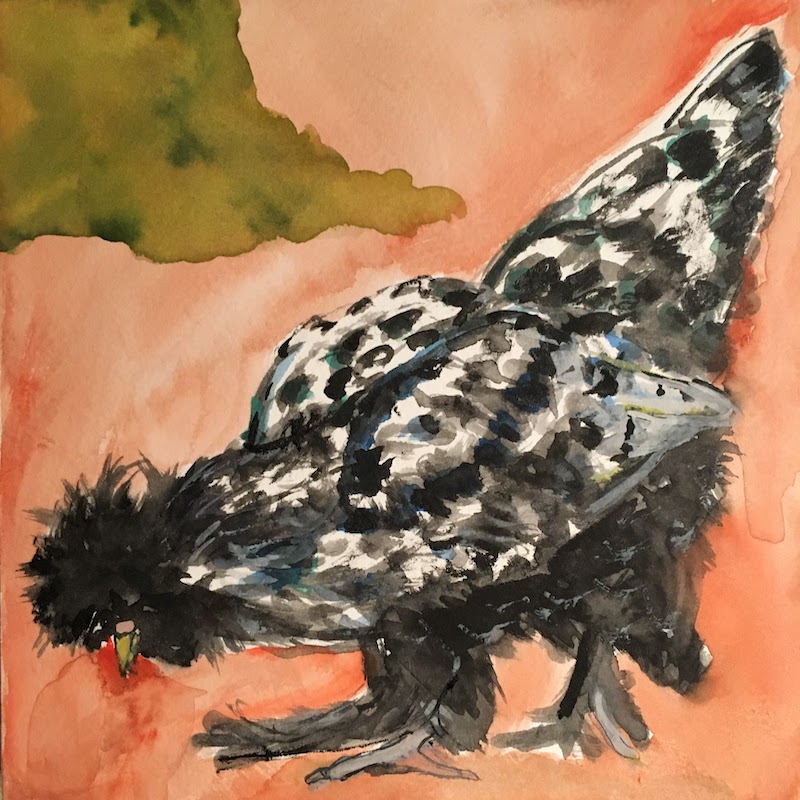 Chicken 1