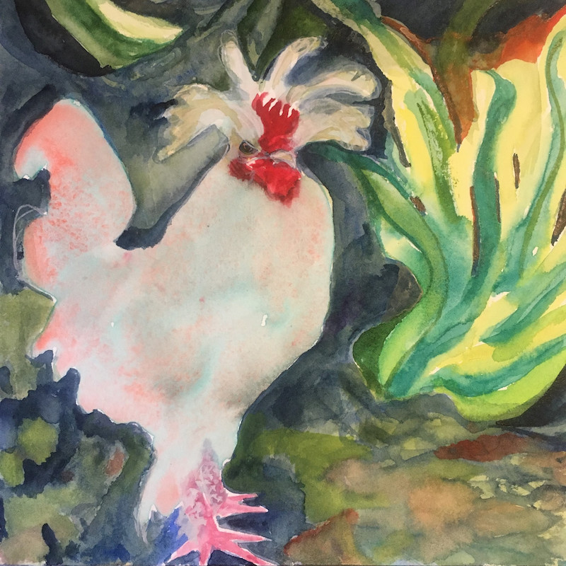Chicken 2