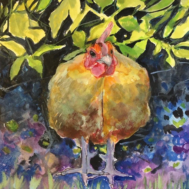 Chicken 1