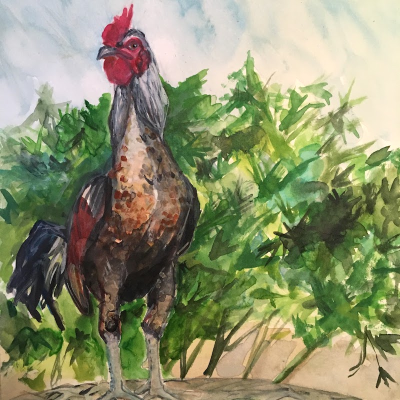 Chicken 1
