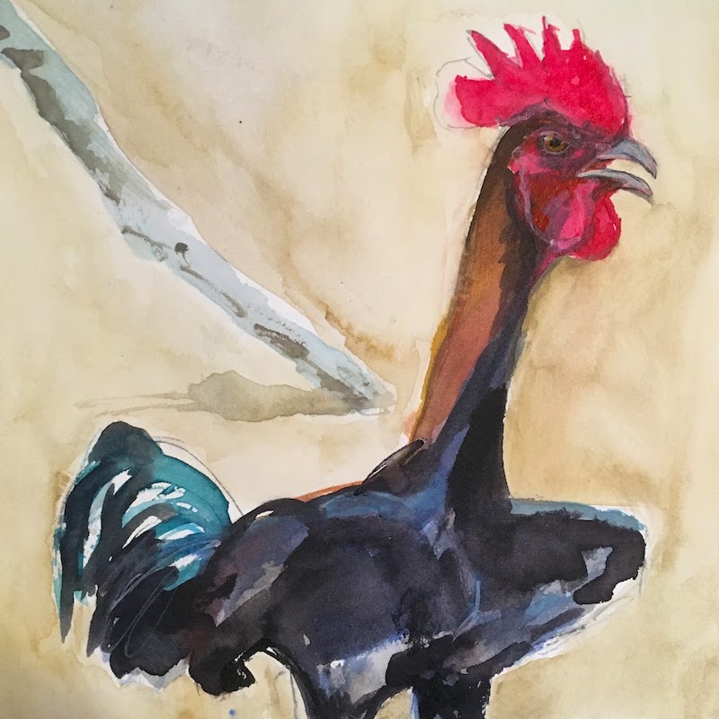Chicken 2