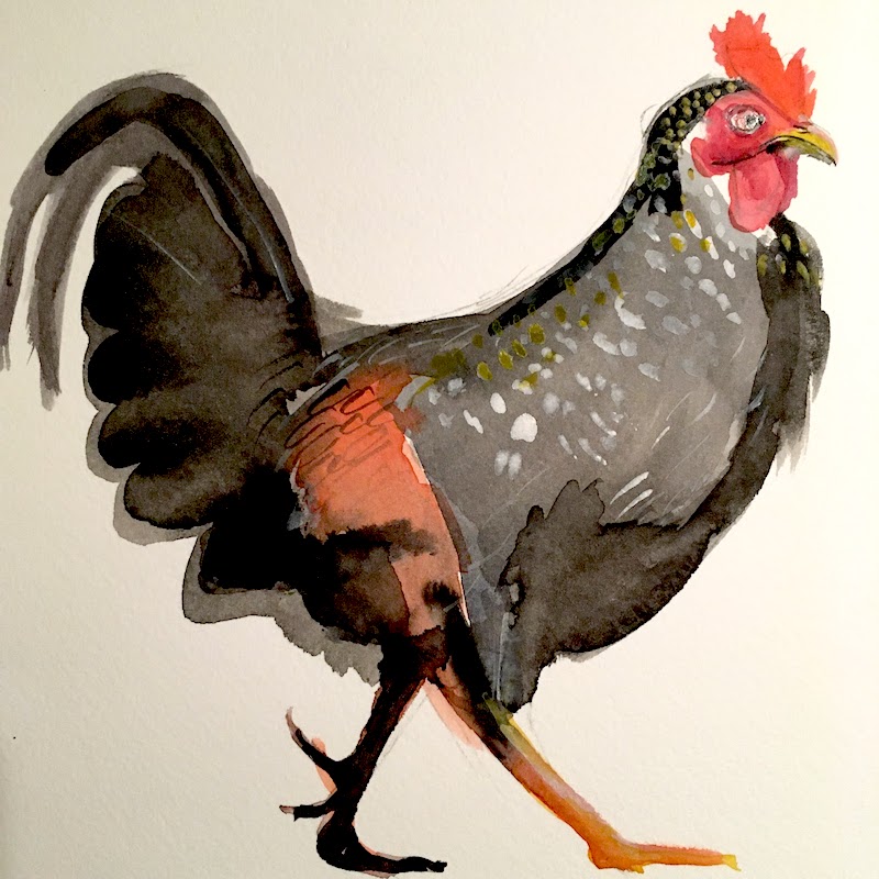 Chicken 1