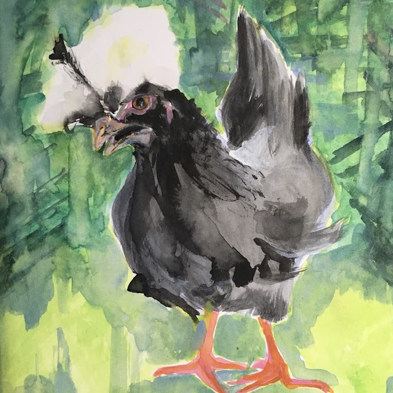 Chicken 2