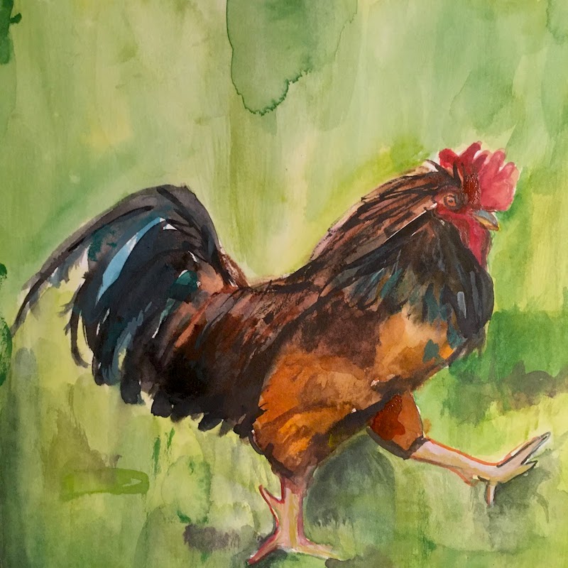 Chicken 1